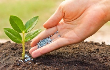 MAPA - Registro de Estabelecimento